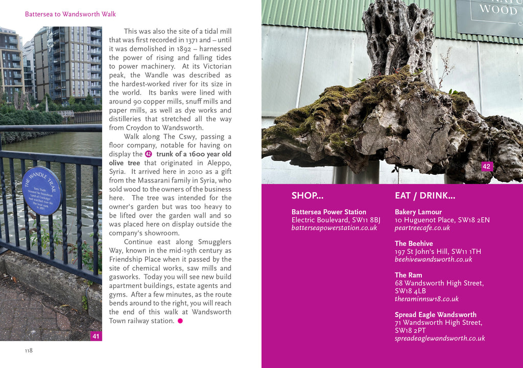 London's Hidden Walks Volume 5