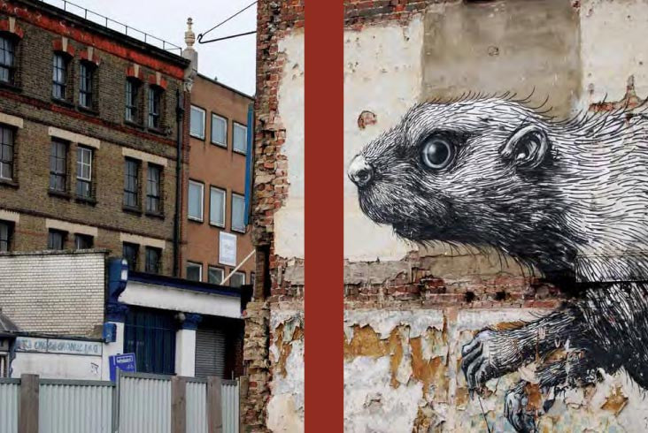 Street Art - Ratty